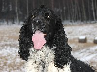 V lese lítám jako pominutá a pak mám jazyk na vestě....