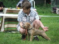 Dandy Ostrý lovec - Krajská výstava Trmice, velmi dobrý /matka Bugi Ostrý lovec, otec Sub Terram Business to Business)