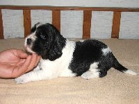 Fenka č. 1 - tři týdny