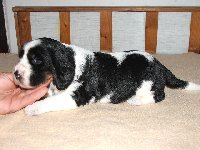 Fenka č. 2 - tři týdny