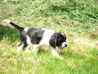 Felicita /Felinka/ slídí....