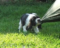 Felicita zlobí.....