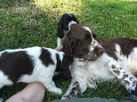 Něžný a milující otec Rambík