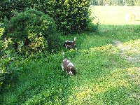 Tak ti nevím, půjdem radši domů?