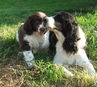 Bobíku, ty toho ještě nemáš dost? 