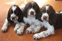 Už toho máme dost, dobrou noc...