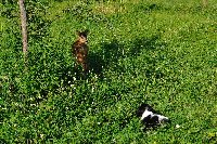 Nic mi neuděláš, budeme kamarádi?