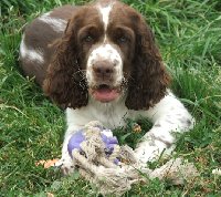 ¨Rád si hraju s chobotnicí...