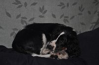 To je moje místečko na odpočinek! ( Farísa )