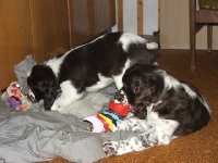 V herně je nám teplo, toho sněhu už máme dost!