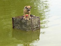Febbie (Babuša) je vellký vodní živel.