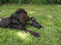 Meďan s malým Atíkem bordíkem. 