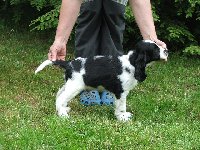 Kerdík - foto před odjezdem