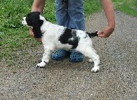Kargusek před odjezdem - téměř devět týdnů