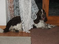 Právě jsem se znovu oženil!