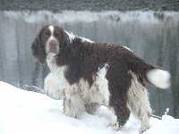 Exy na procházce kolem řeky.