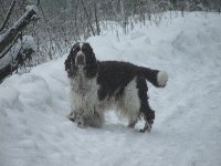 Exy v huňatém zimním kožichu.