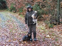 Border teriérka Hedy Ostrý lovec a alpská braka Bety z Dalešických lesů na barvářských zkouškách honičů.