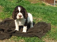 Markusek šest týdnů.