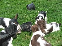 My se fotit nebudem!