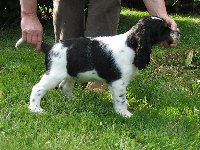 Meky z Větrné paseky