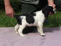 Mobby z Větrné paseky