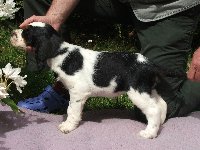 Mompy z Větrné paseky