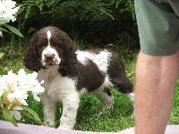 Maja z Větrné paseky