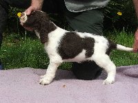 Marja z Větrné paseky