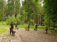 Cvičení vodění na řemeni v kruhu. Měla jsem sebou retrievera Rodyho, který kontroloval, zda všichni chodí dobře.