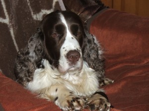 Prostě už budu spinkat....