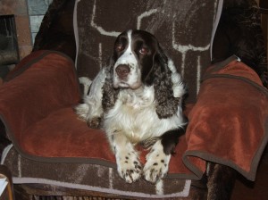 A teď už chci být jen hýčkána!