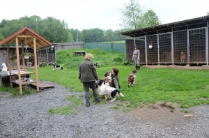 Když psinec, tak pořádný....