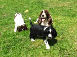 Loučení s Nellynkou.