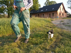 Tak hezky jdeme už na vodítku - Nicco.