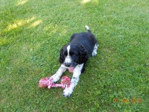 Nellynka v novém domově.