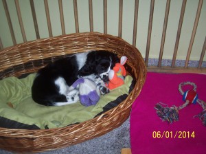 Tak už mě nechte prosím spinkat...