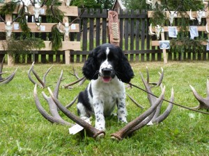 Níké jednou bude velký lovec!