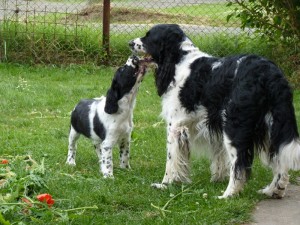 Nebo Hubert Niké naučí pusinkovat se!