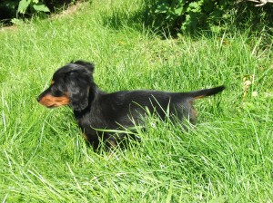 Jsem maličká, ale šikovná!