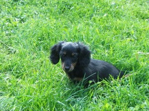 Tak co bude, už jsem unavená...