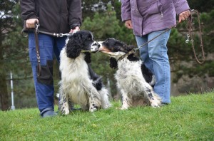 Ještě něco pošeptat!