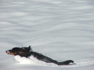 Nevěděla jsem, že se dá ve sněhu i plavat!