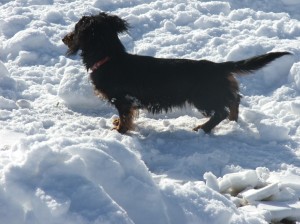 Už nejdu plavat, fakt ne...