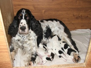 Dej už pokoj s tím focením, musím kojit!