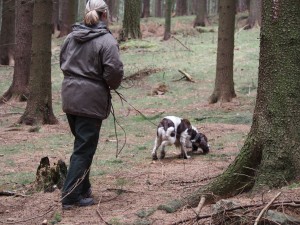 Candy na pobarvené stopní dráze.