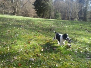 Orika v novém domově, je tu budoucí aportér