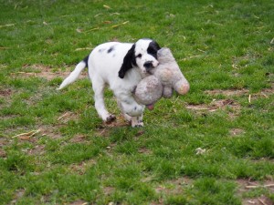 Ornellka s oblíbeným medvídkem.