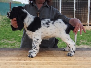 Ještě postoj Oriana.