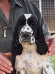 Ještě kukuč Oriana - naštvaný...